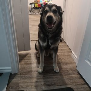 Meet your Posher, Philip